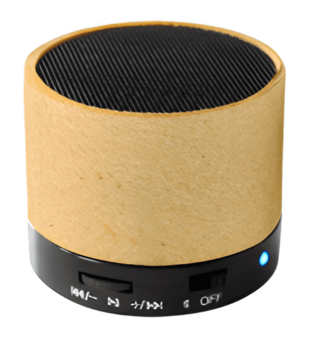BLUETOOTH SPEAKER